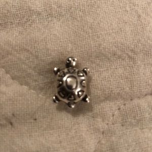 Pandora Turtle Charm